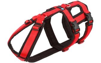 AnnyX Geschirr SAFETY FUN schwarz-rot