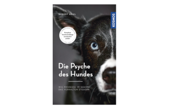 Die Psyche des Hundes