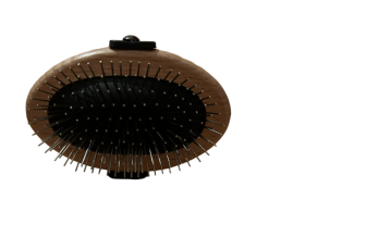 Mähnenbürste - sehr gut für das Fell des Hundes