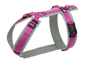 AnnyX Geschirr FUN grau/pink