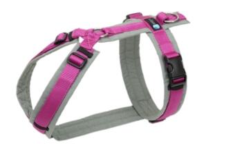 AnnyX Geschirr FUN grau/pink