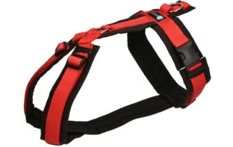 AnnyX-Geschirr-Fun-schwarz-rot