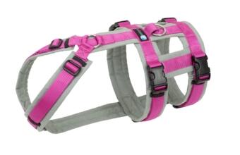 AnnyX Geschirr SAFETY FUN grau/pink