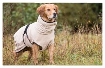 DRYUP Cape - Hundebademantel - sand - DRYUP-Bandemantel-sand-stehen