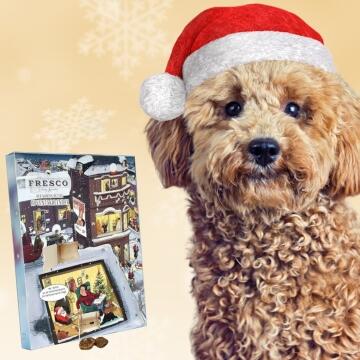 T_fsb_d_Weihnachtskalender_Hunde.jpg