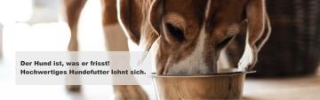 Hochwertiges Hundefutter lohnt sich - tolles Fell, vitaler Hund und täglich Freude sind es wert!