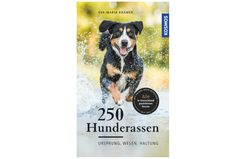 250 Hunderassen