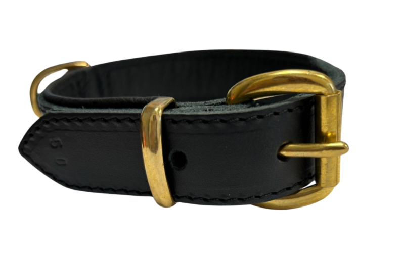 Halsband_schwarz_50cm_breit