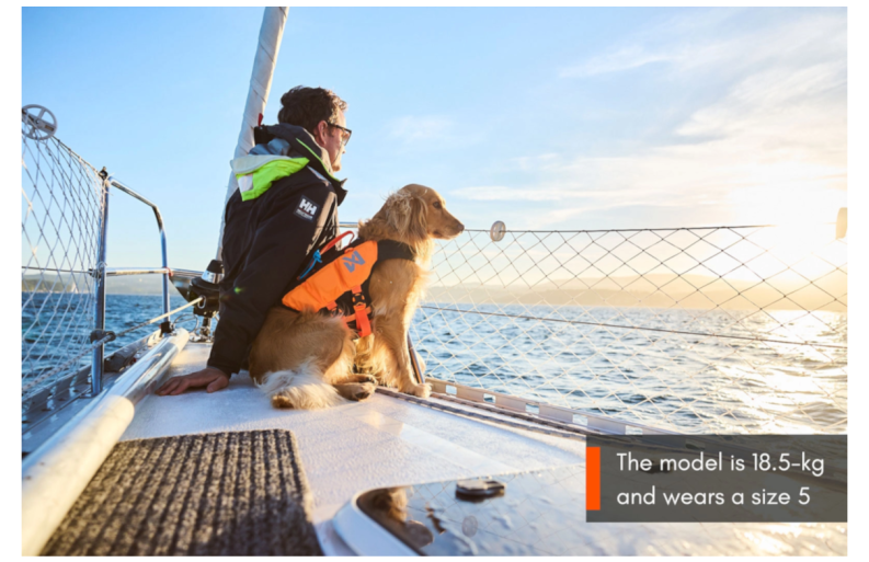 Non-stop-dogwear_Protector_Life_Jacket_sitzender_Hund
