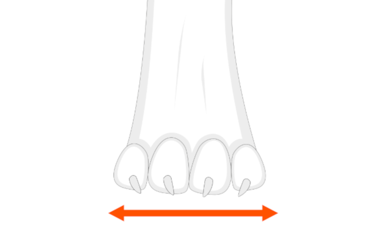 Non-Stop-Dogwear-Bootie_Groesse