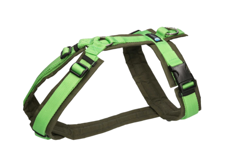 AnnyX-Geschirr-Fun-oliv-hellgrün