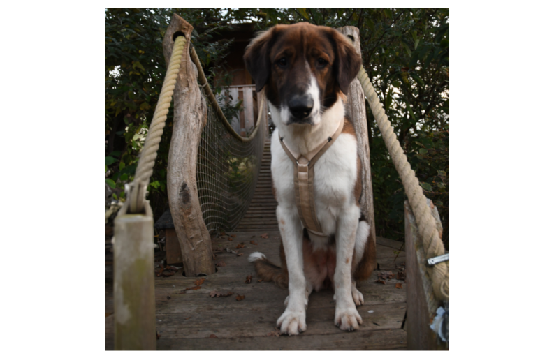 AnnyX_Geschirr_schneeball