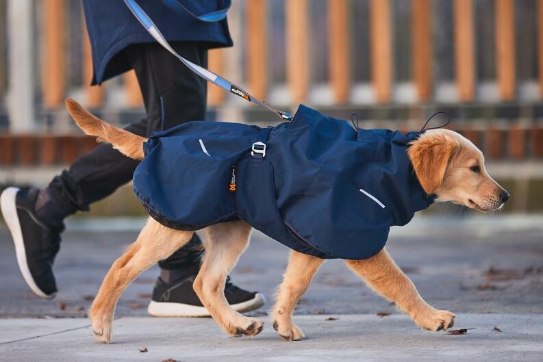 Non-Stop Dogwear Wintermantel Wool 2.0 Hund