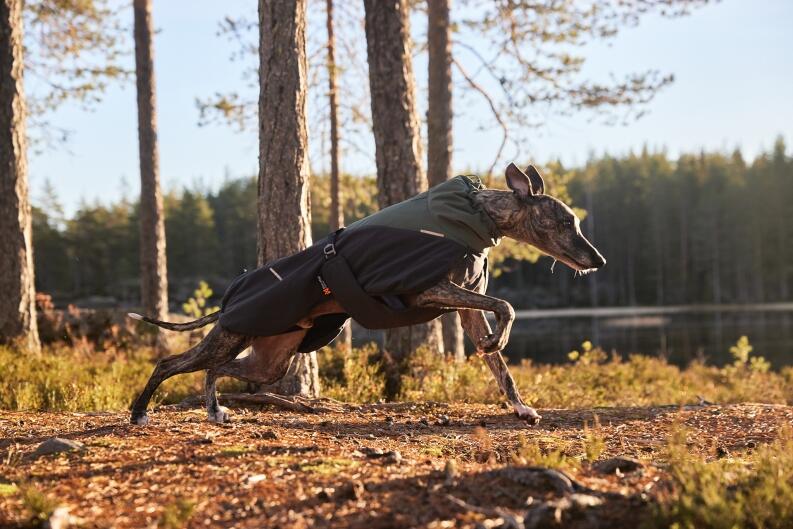 Non-Stop Dogwear Wintermantel Wool 2.0 Hund2