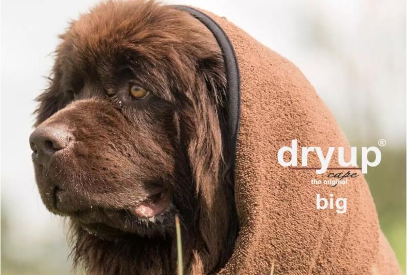 DRYUP Cape - BIG - Hundebademantel - braun - DRYUP-Bademantel-BIG-braun