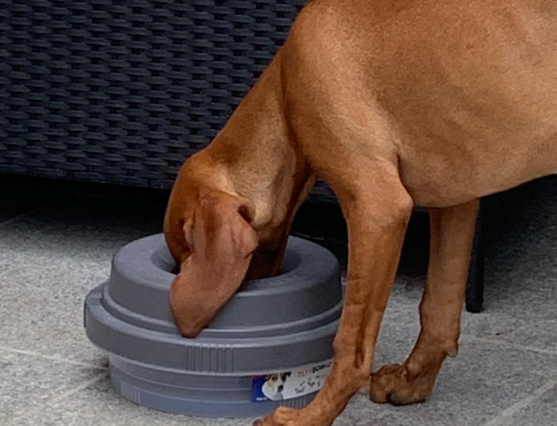 Tilty-Bowl Trinknapf